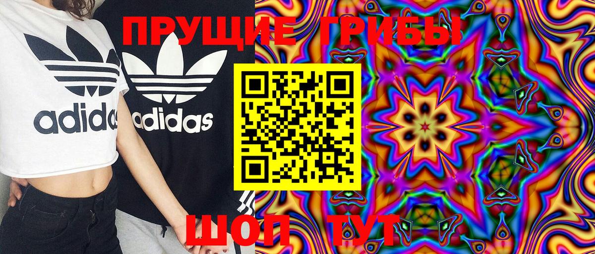 Псилоцибиновые грибы Magic Shrooms  Вход с VPN  Орёл  Галлюциногенные грибы Psilocybe 