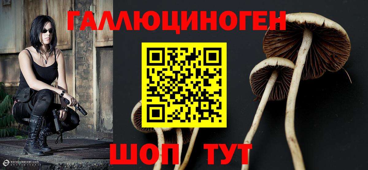 Псилоцибиновые грибы Cubensis Орёл